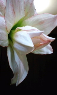 110112_0009~010001.jpg
