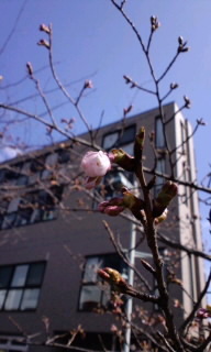 140222_1206~010001.jpg