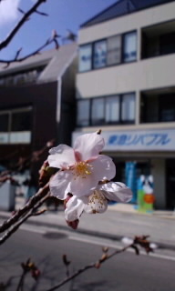 140222_1208~020001.jpg