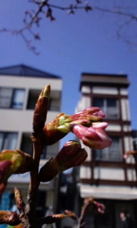 140222_1210~010001.jpg