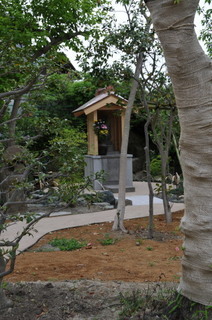 DSC_0446.jpg