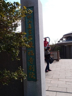 P1201265.jpg