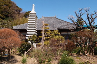 P2167583.jpg