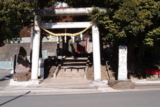 P2167586.jpg