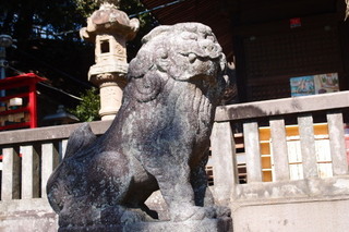 P2167592.jpg