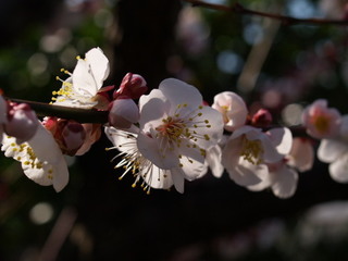 P3051371.jpg