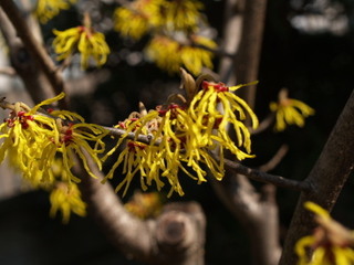 P3051391.jpg