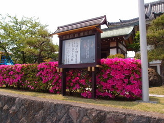 P5019172.jpg