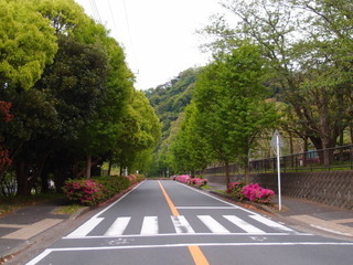 P5019179.jpg