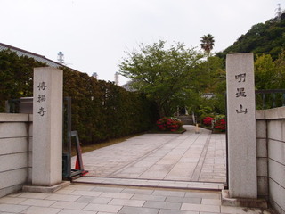 P5019180.jpg
