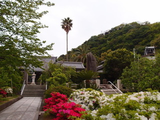 P5019183.jpg