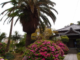 P5019191.jpg