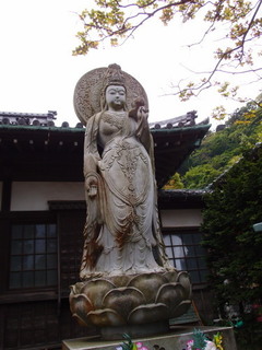 P5019196.jpg