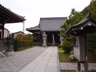 P5019207.jpg