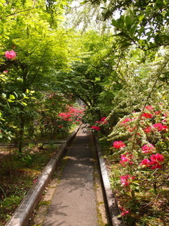 P5159326.jpg
