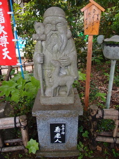 P5159342.jpg