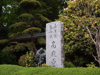 P5159353.jpg