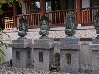 P5159374.jpg