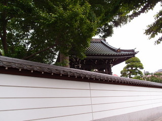 P5159385.jpg