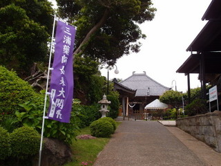 P5169426.jpg