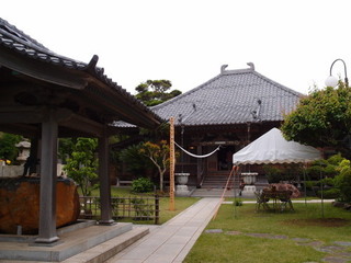 P5169427.jpg