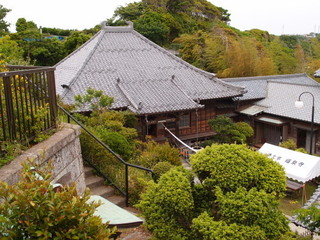 P5169438.jpg