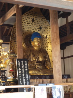 PB299835.jpg