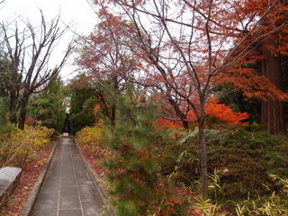 PC040299.jpg
