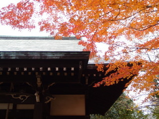 PC040304.jpg