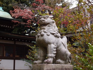 PC040312.jpg