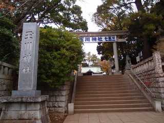 PC040320.jpg