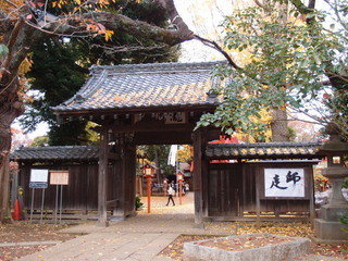 PC040325.jpg