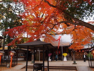 PC040334.jpg
