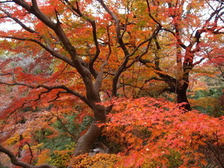 PC040346.jpg