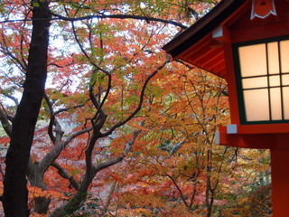 PC040350.jpg