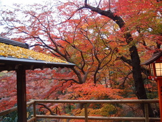 PC040352.jpg