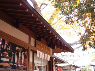 PC040370.jpg