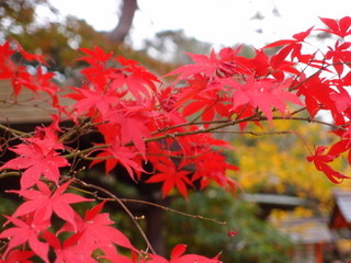 PC040381.jpg