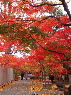 PC040395.jpg
