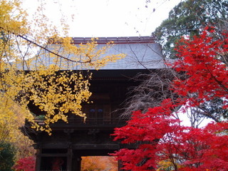 PC040400.jpg