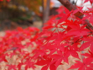 PC040401.jpg
