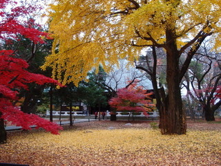 PC040405.jpg
