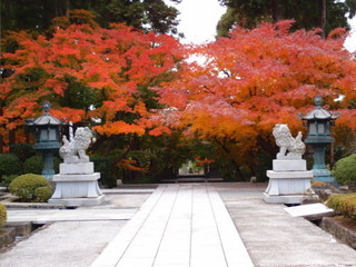 PC040422.jpg
