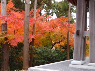 PC040425.jpg