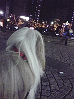 081224_1749~01.jpg