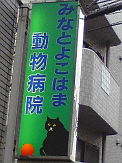 091209_1556~01.jpg