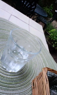 110618_1249~020001.jpg