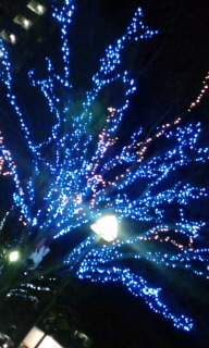111227_2032~010001.jpg
