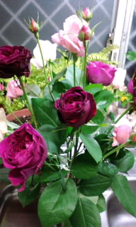 120101_0104~010001.jpg