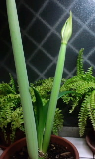 120210_0001~010001.jpg